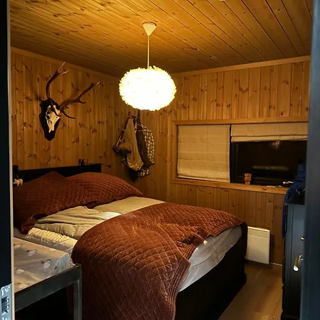 Spacious Modern Family In Solhovda Close To Hiking, Skiing & Nature Hol (Buskerud)