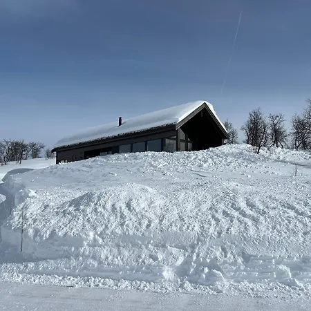 Spacious Modern Family In Solhovda Close To Hiking, Skiing & Nature * Hol (Buskerud)