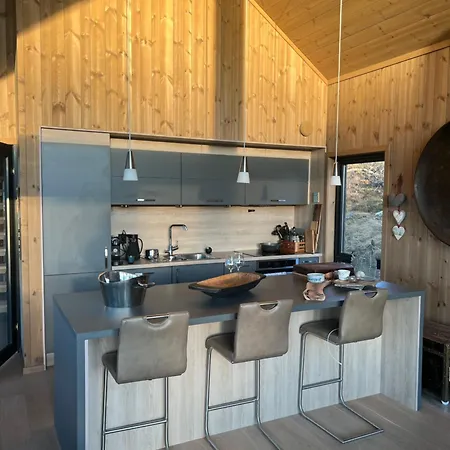 Spacious Modern Family In Solhovda Close To Hiking, Skiing & Nature * Hol (Buskerud)