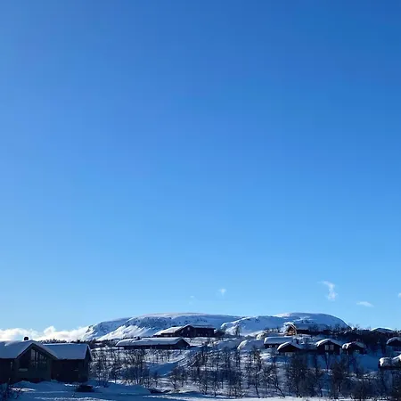Chalet Spacious Modern Family In Solhovda Close To Hiking, Skiing & Nature Hol (Buskerud)