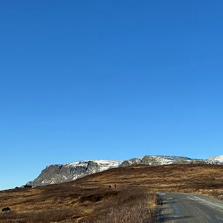 Spacious Modern Family In Solhovda Close To Hiking, Skiing & Nature *