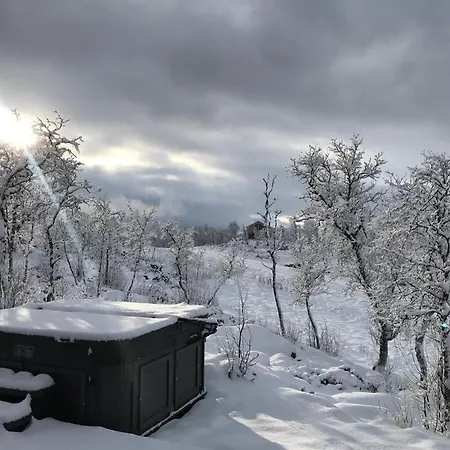 Spacious Modern Family In Solhovda Close To Hiking, Skiing & Nature Hol (Buskerud)